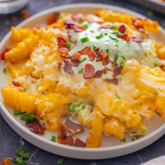 Loaded Bacon Cheese Fries feature