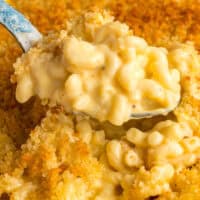 Baked Mac and Cheese feature