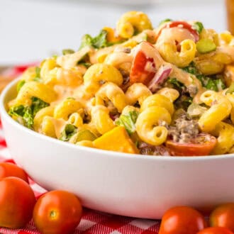 Big Mac Pasta Salad feature