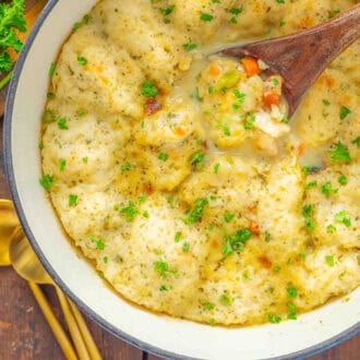 Bisquick Chicken and Dumplings feature