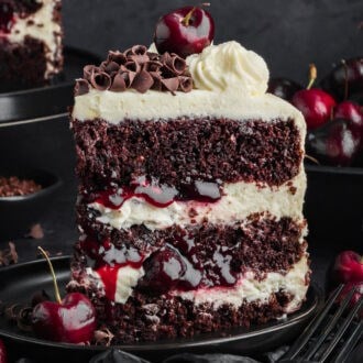 Black Forest Cake feature