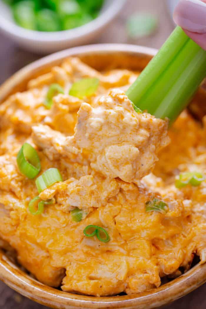 Buffalo Chicken Dip with a celery stick