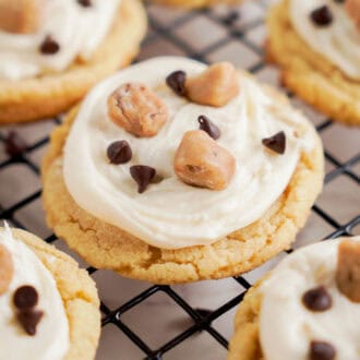 Cookie Dough Cookies feature