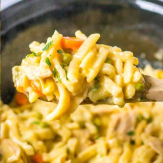 Slow Cooker Chicken and Noodles feature