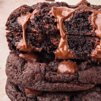 Double Chocolate Chip Cookies feature