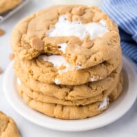 Fluffernutter Cookies feature