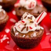 A brownie topped with sprinkles and peppermint.