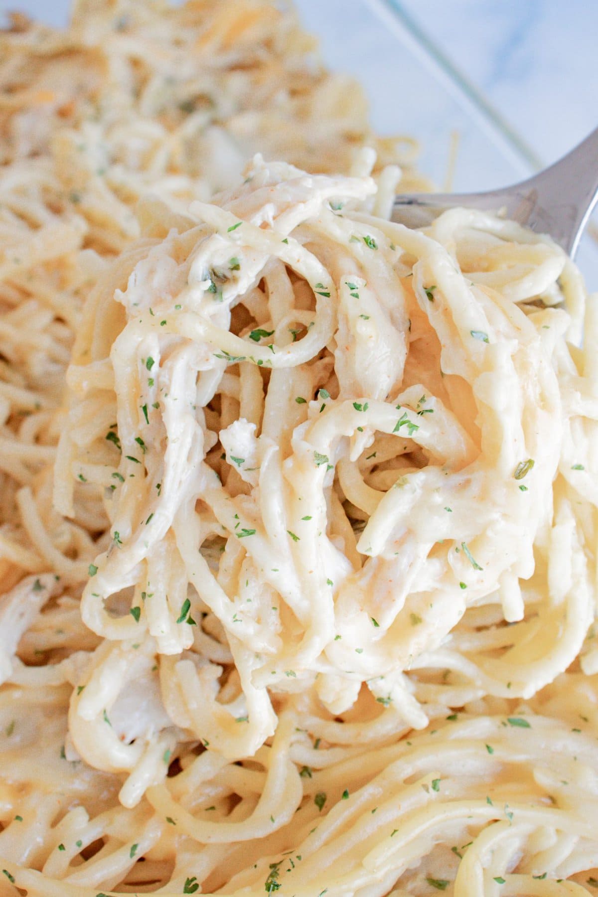 Creamy Chicken Spaghetti