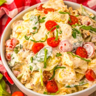 Marry Me Pasta Salad feature