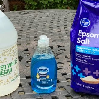 The ingredients (vinegar, dish soap, salt) for natural weed killer.