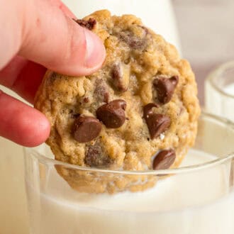 Oatmeal Chocolate Chip Cookies feature