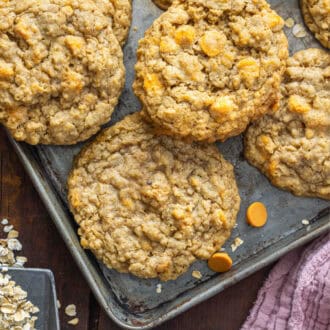 Oatmeal Scotchies feature