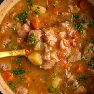 Pork Stew feature