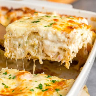Seafood Lasagna feature
