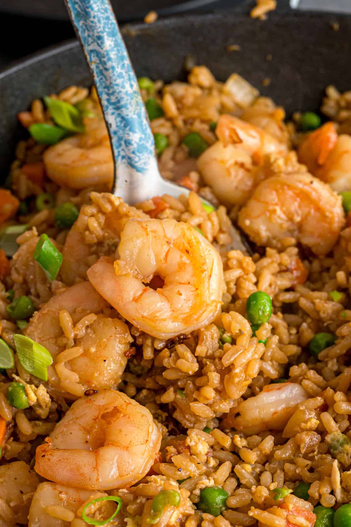 Close up of a spoon of shrimp fried rice