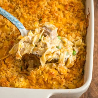 Tuna Noodle Casserole feature