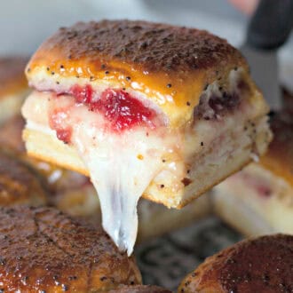 Turkey Cranberry Sliders feature