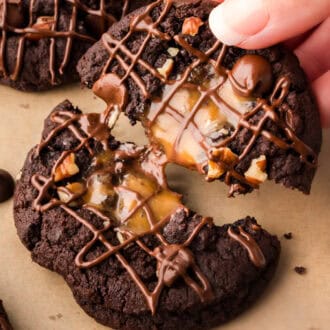 Turtle Cookies feature